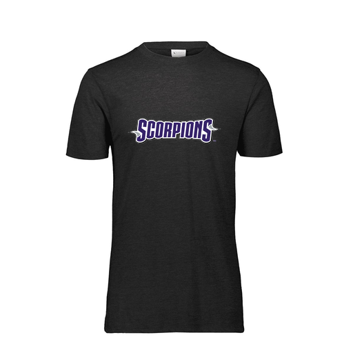 [FTSCUBBK-AS-LOGO1] Decker Men's Tri-Blend T-Shirt - Short Sleeve (Adult S, Black, Logo 1)
